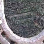 ferrodicavallo