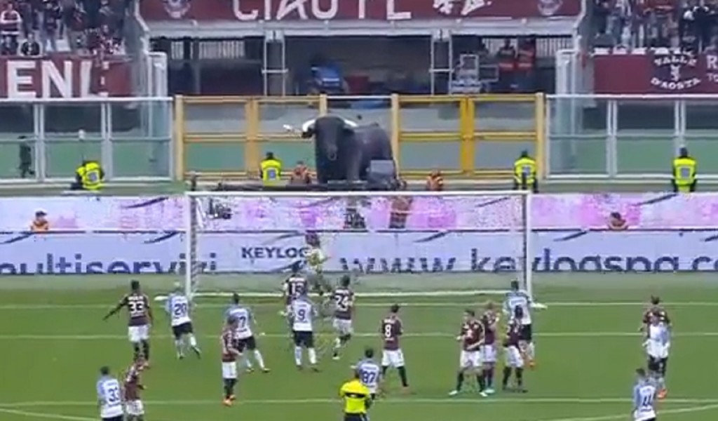 Candreva milza steward