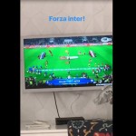 forza inter felipe melo
