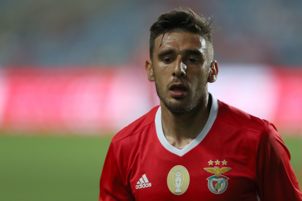 Salvio 14 nov 2018