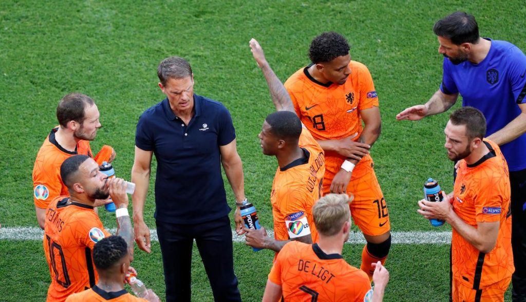 olanda stupidità de boer