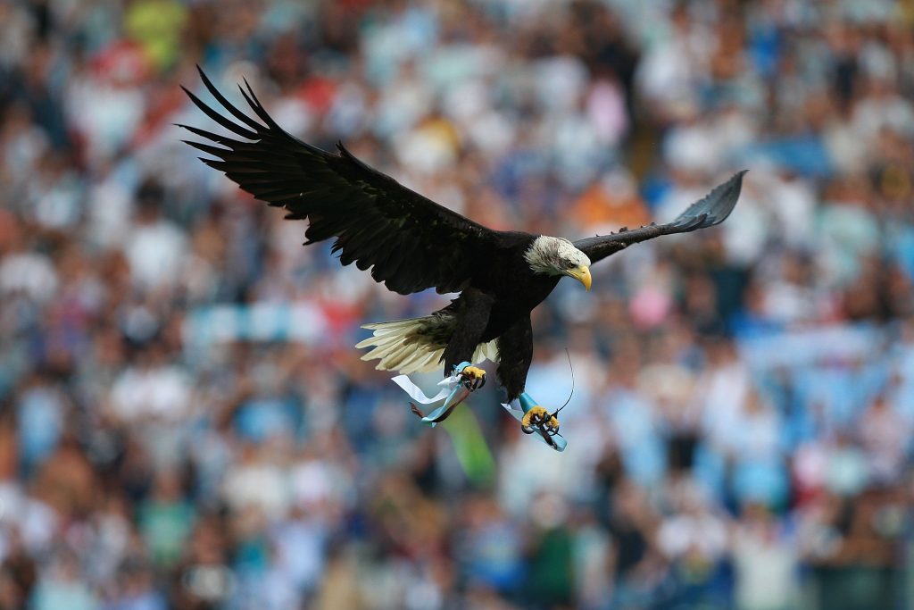 SS Lazio v Brescia Calcio - Serie A