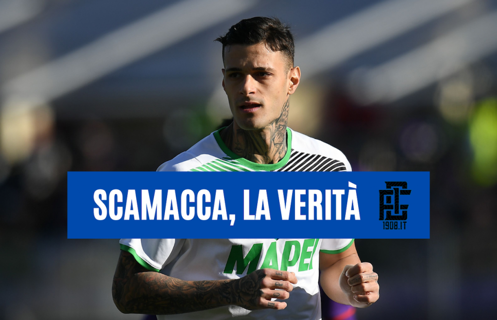 Scamacca