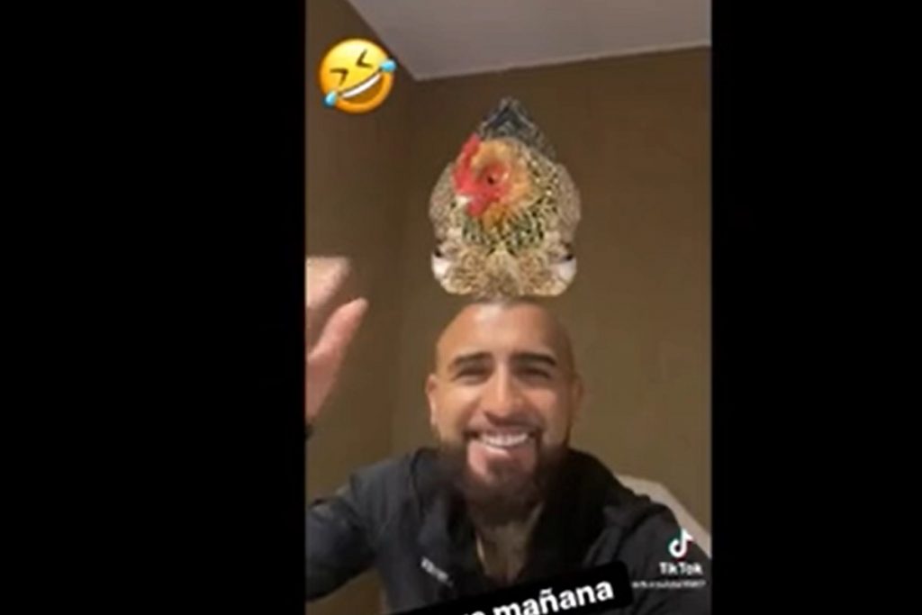 vidal-gallina-testa