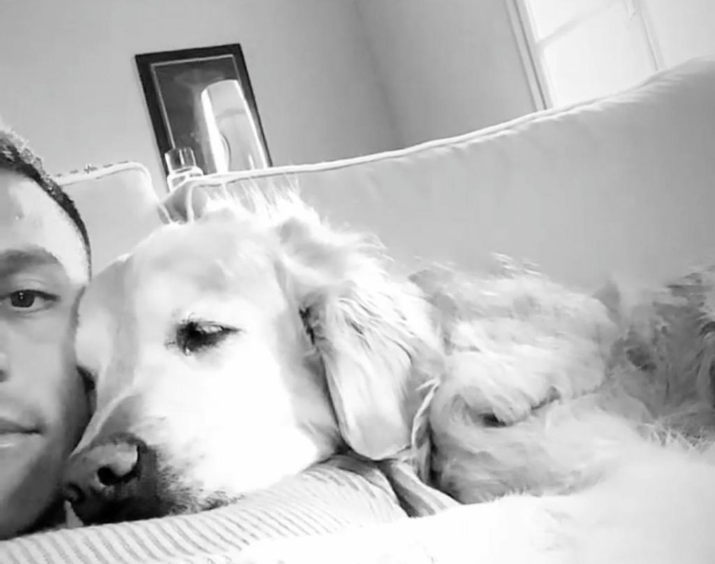 sanchez cani coccole
