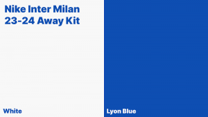 Inter Milan 23-24 Away Kit (1)