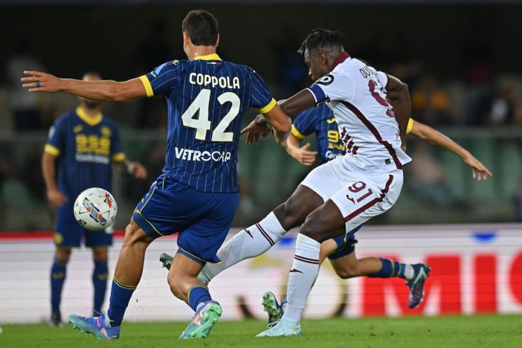 zapata verona toro