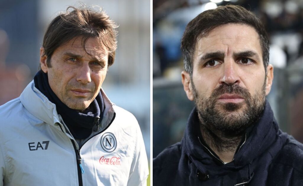 fabregas conte
