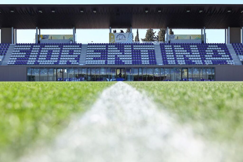 stadio fiorentina