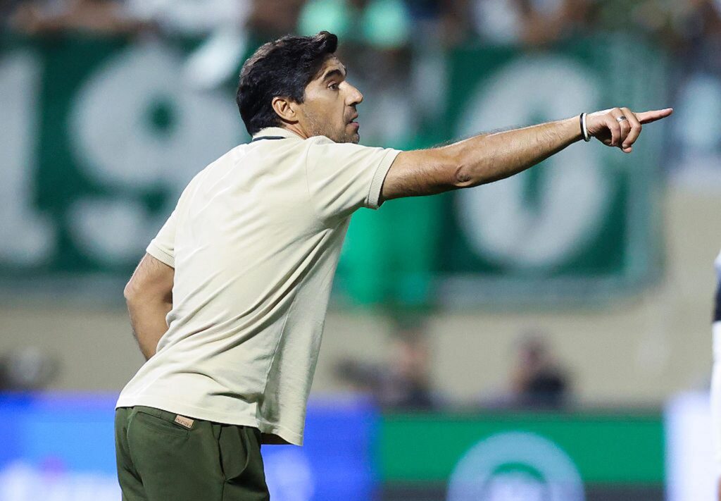 palmeiras (3)