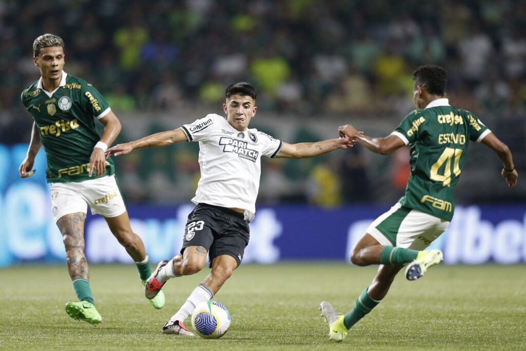 Palmeiras v Botafogo - Brasileirao 2024