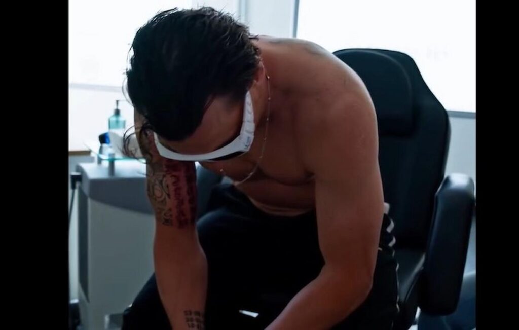 ibrahimovic dolore (1)