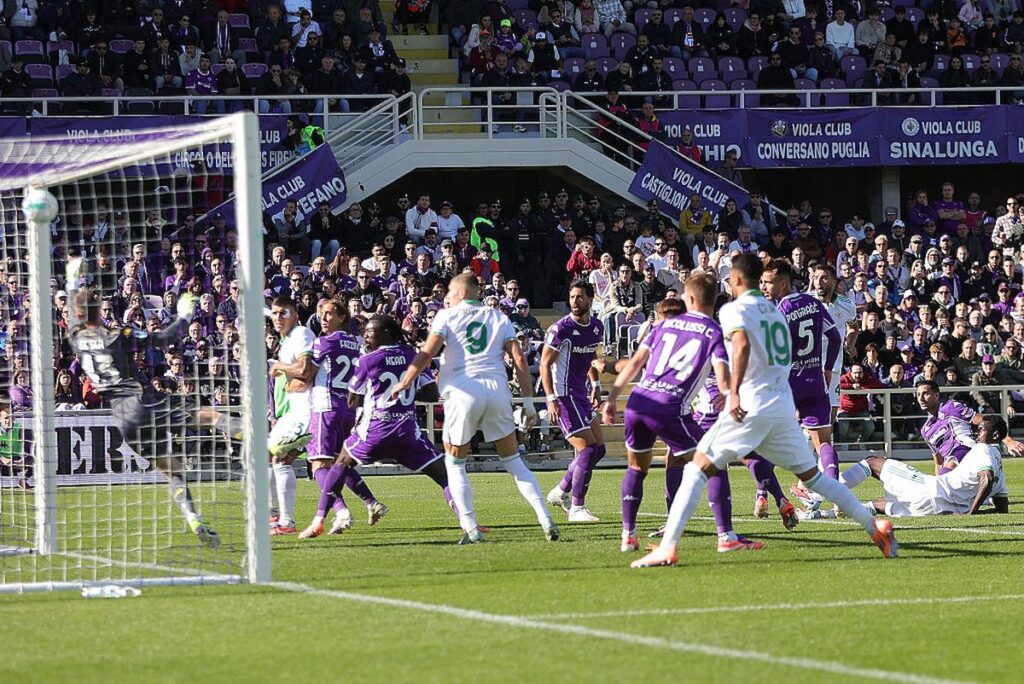 fiorentina roma