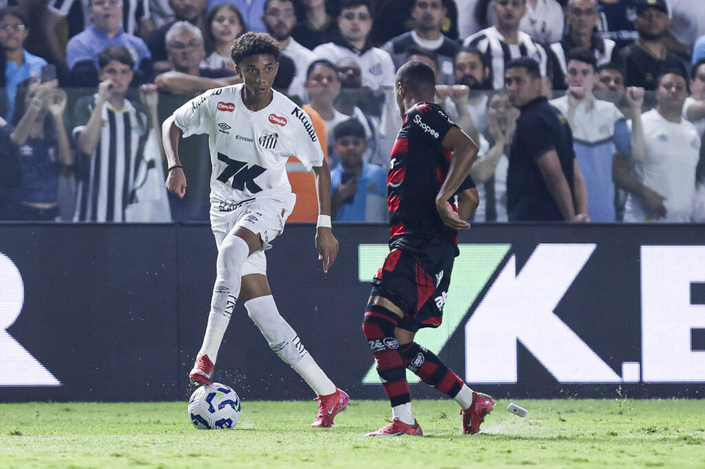 Santos v Flamengo - Brasileirao 2025