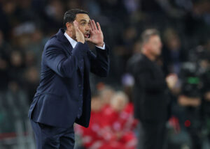 Udinese v Fiorentina - Serie A