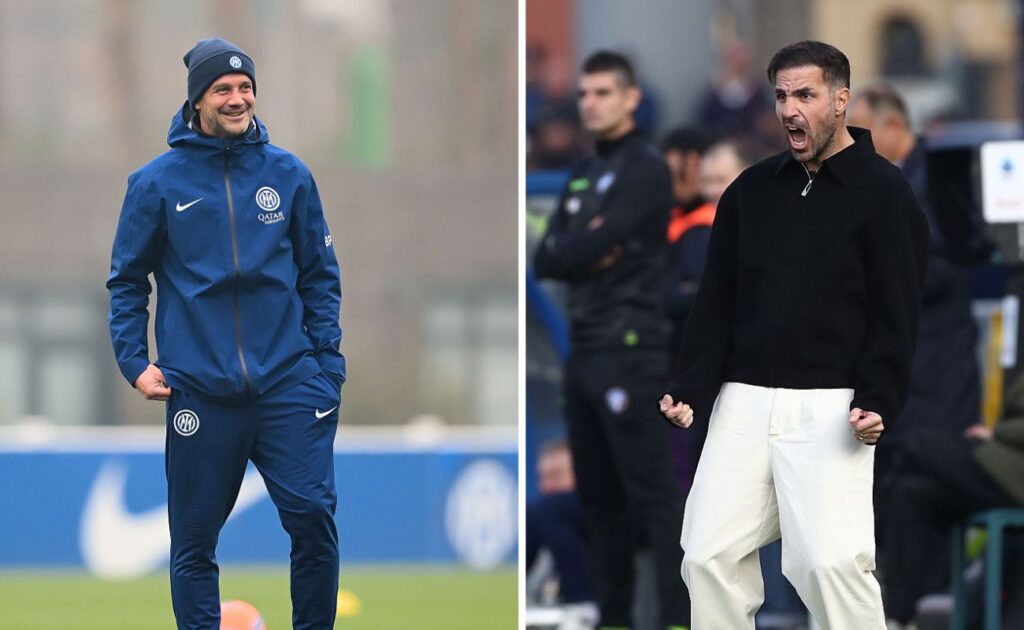 fabregas chivu