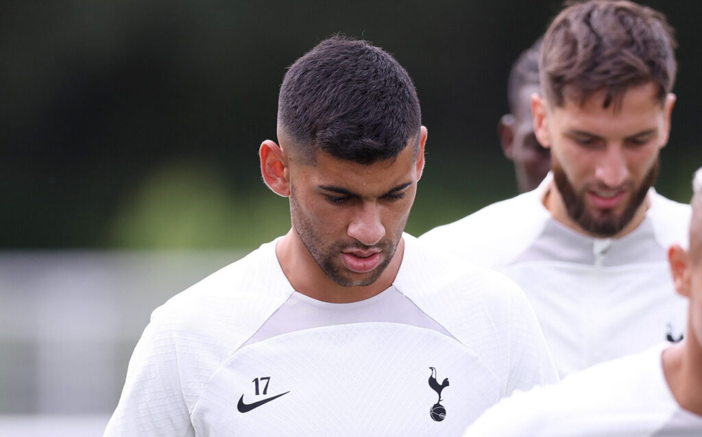Tottenham Hotspur Training Session And Press Conference