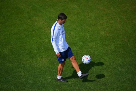 chivu (2)