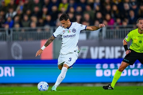 ale stankovic