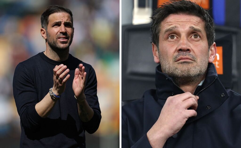 chivu fabregas