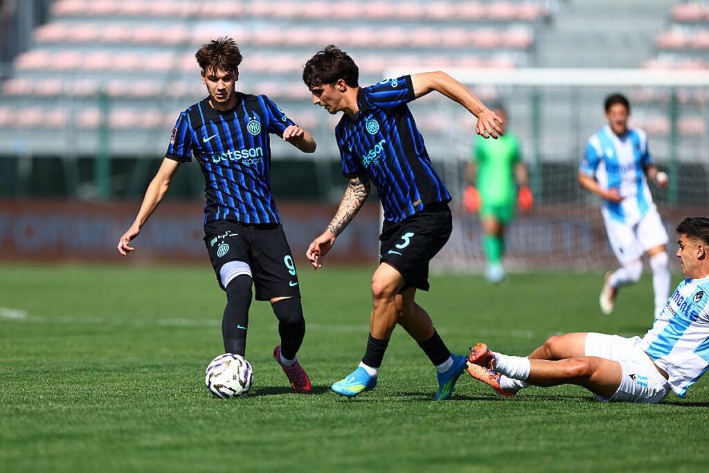 cocchi e topalovic
