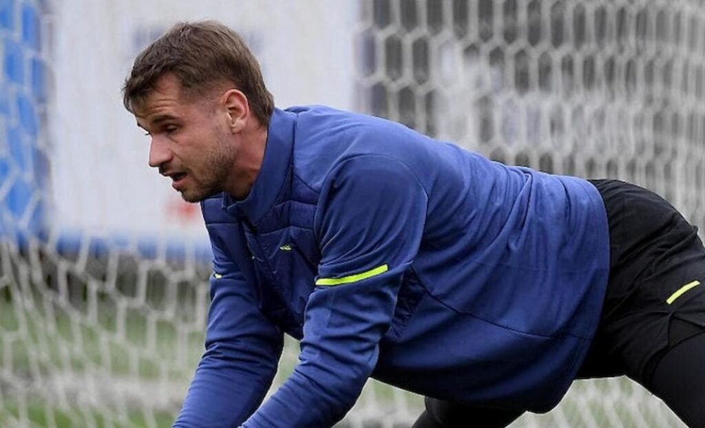 ivan provedel