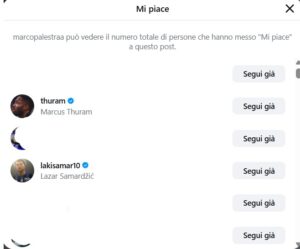 like thuram palestra