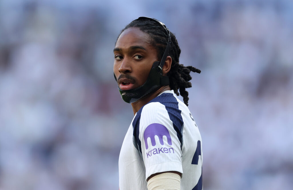 Tottenham Hotspur v Everton - Premier League